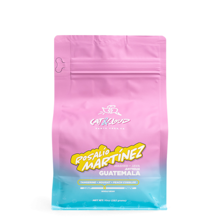 Guatemala Rosalio Martinez